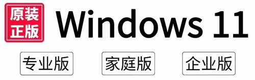 Windows11实现永久激活教程 Wi