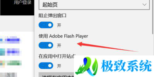 win10怎么设置允许加载flash win10浏览器允许加载flash插件的设置方法