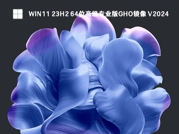 Win11 23H2 64位高级专业版GHO镜像 V2024.04